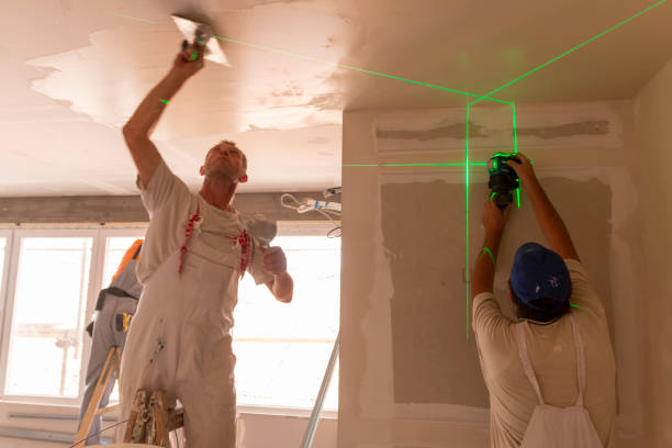 Best Drywall Sanding and Smoothing  in Sebewaing, MI